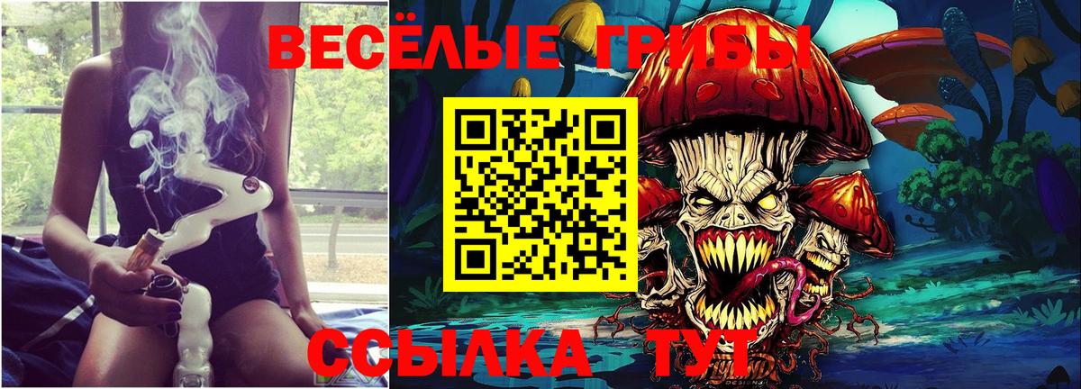 Ногинск  Псилоцибиновые грибы Cubensis  Вход с VPN 