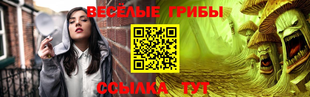 Галлюциногенные грибы Psilocybe Ногинск